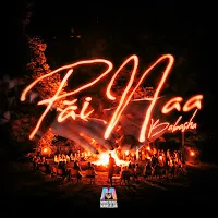 Babasha — Păi Naa Ft Ministerul Manelelor — обложка